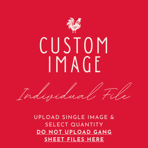 Upload Your Own Individual File - Custom DTF Transfer